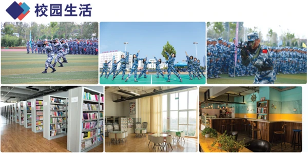 如何借助专业篮球教练提升个人声誉_1
